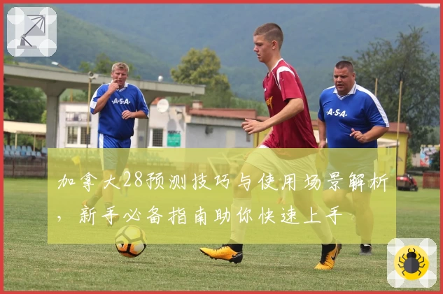 加拿大28预测技巧与使用场景解析,新手必备指南助你快速上手