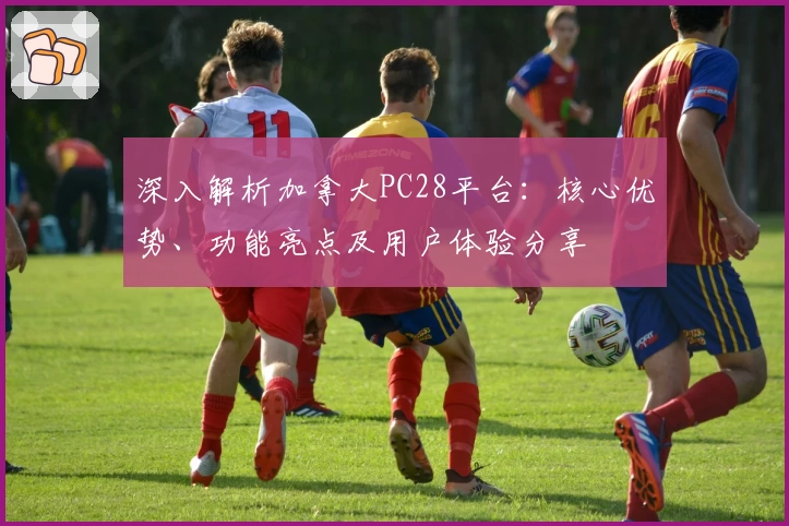 深入解析加拿大PC28平台：核心优势、功能亮点及用户体验分享