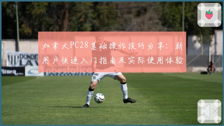 加拿大PC28基础操作技巧分享:新用户快速入门指南及实际使用体验解析