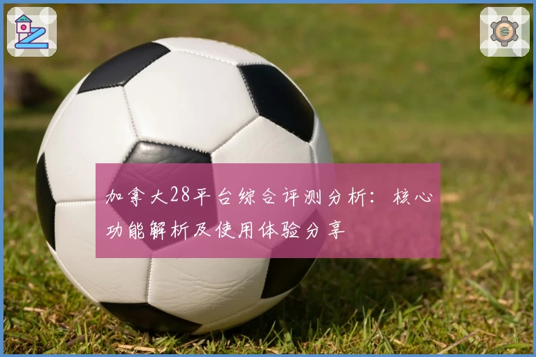 加拿大28平台综合评测分析：核心功能解析及使用体验分享