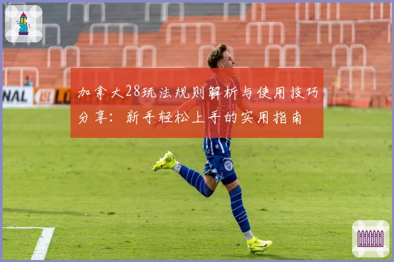加拿大28玩法规则解析与使用技巧分享：新手轻松上手的实用指南