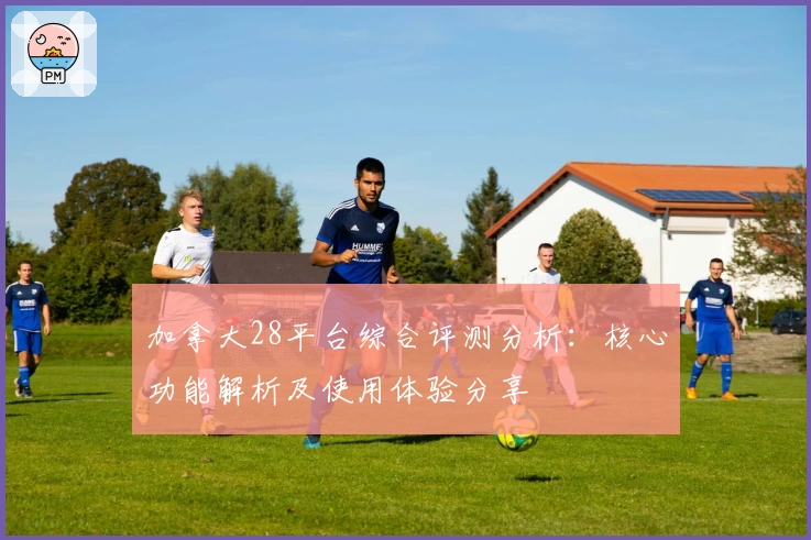 加拿大28平台综合评测分析：核心功能解析及使用体验分享