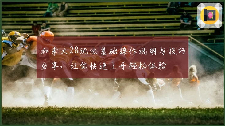 加拿大28玩法基础操作说明与技巧分享,让你快速上手轻松体验