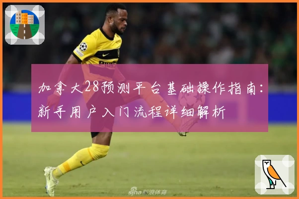 加拿大28预测平台基础操作指南：新手用户入门流程详细解析