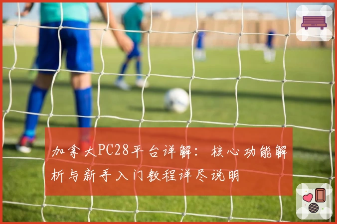 加拿大PC28平台详解：核心功能解析与新手入门教程详尽说明